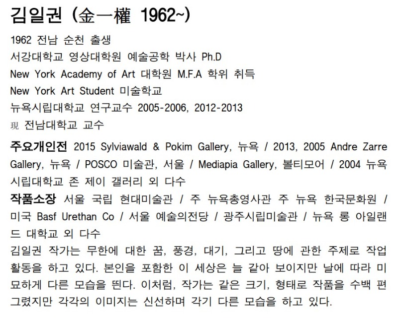 김일권 작가에 대한 이해.jpg